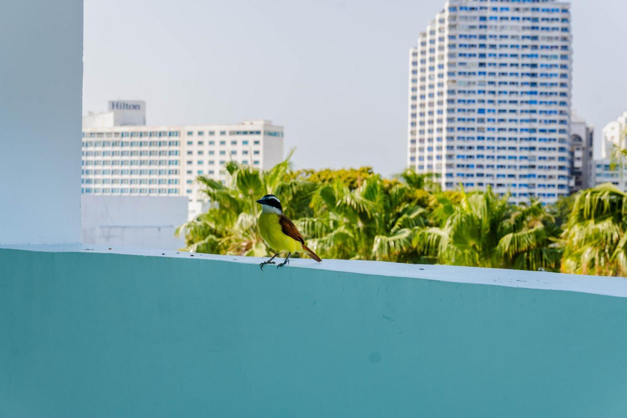 Hotel Coral Reef Cartagena Exterior photo